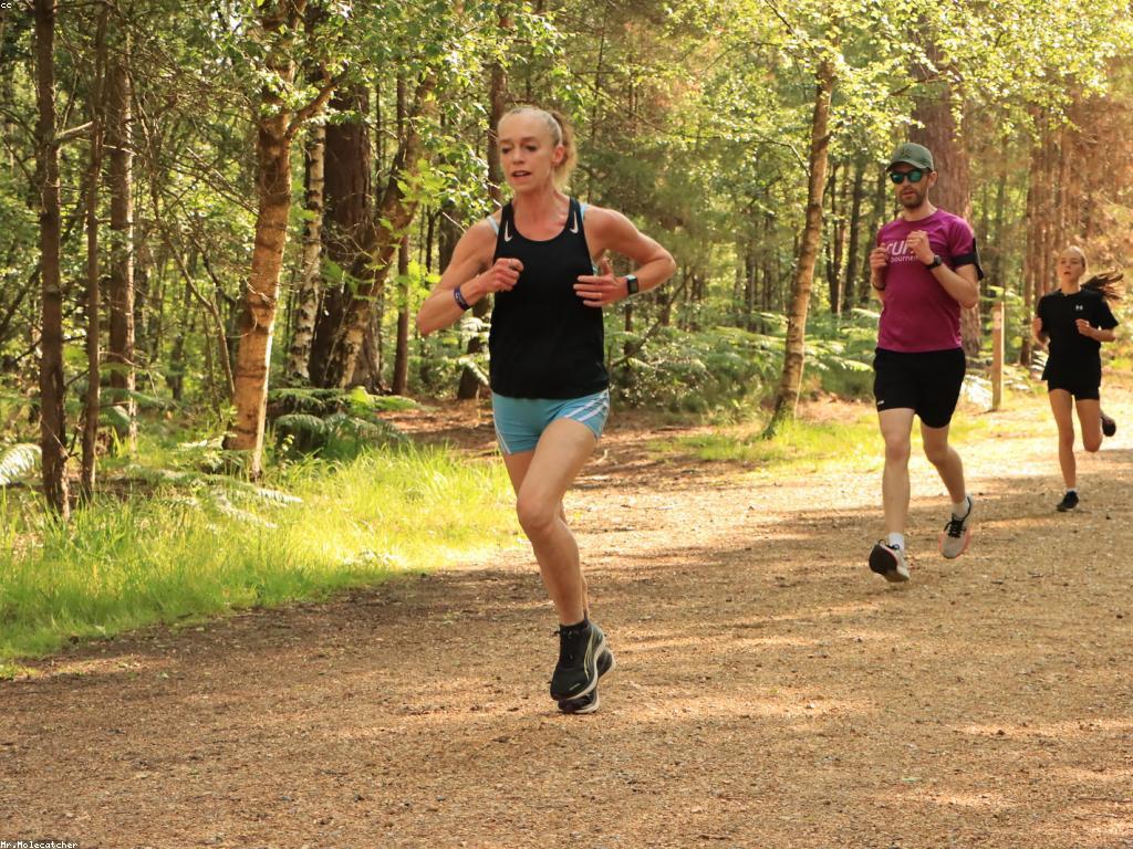 ការយល់ដឹងអំពីសកម្មភាព និងព្រឹត្តិការណ៍