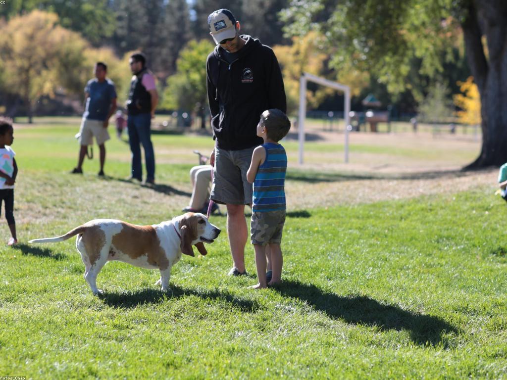 ការយល់ដឹងអំពីសកម្មភាពនិងព្រឹត្តិការណ៍: មនោសញ្ចេតនា និងកំលាំងវិជ្ជាជីវៈ
