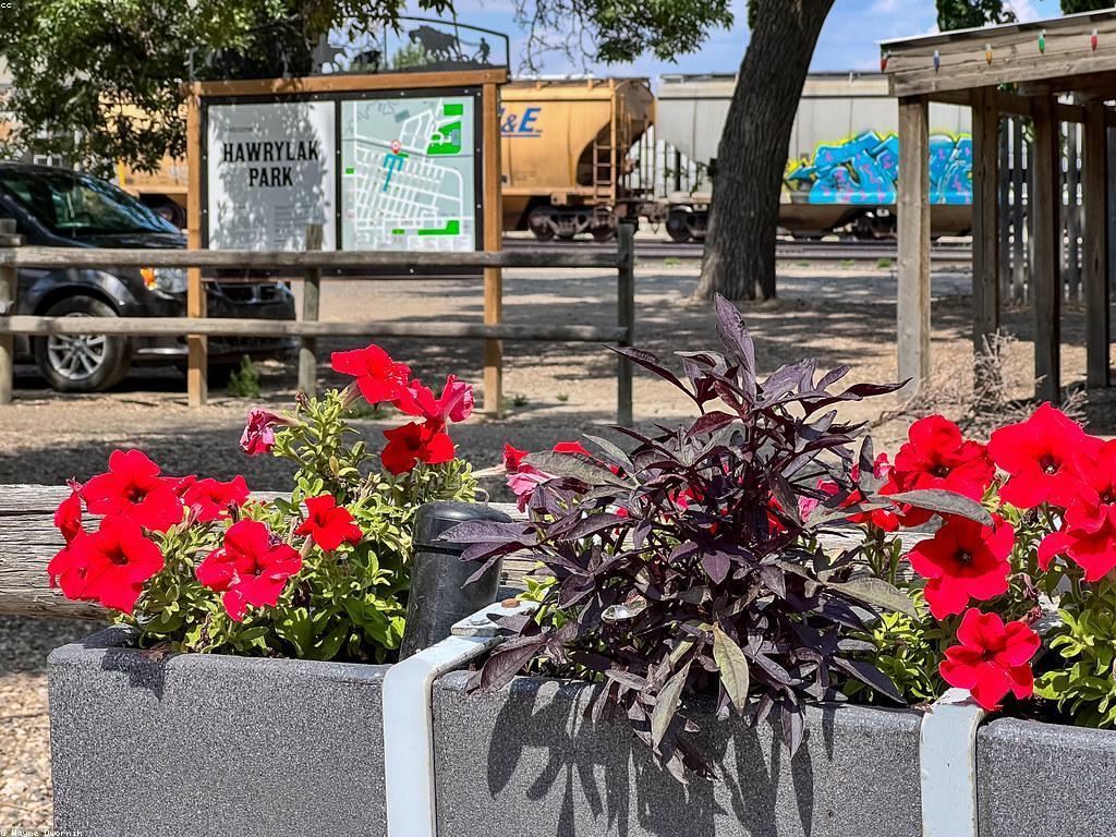 ការស្គាល់អំពីសកម្មភាពនិងព្រឹត្តិការណ៍ក្នុងវប្បធម៌